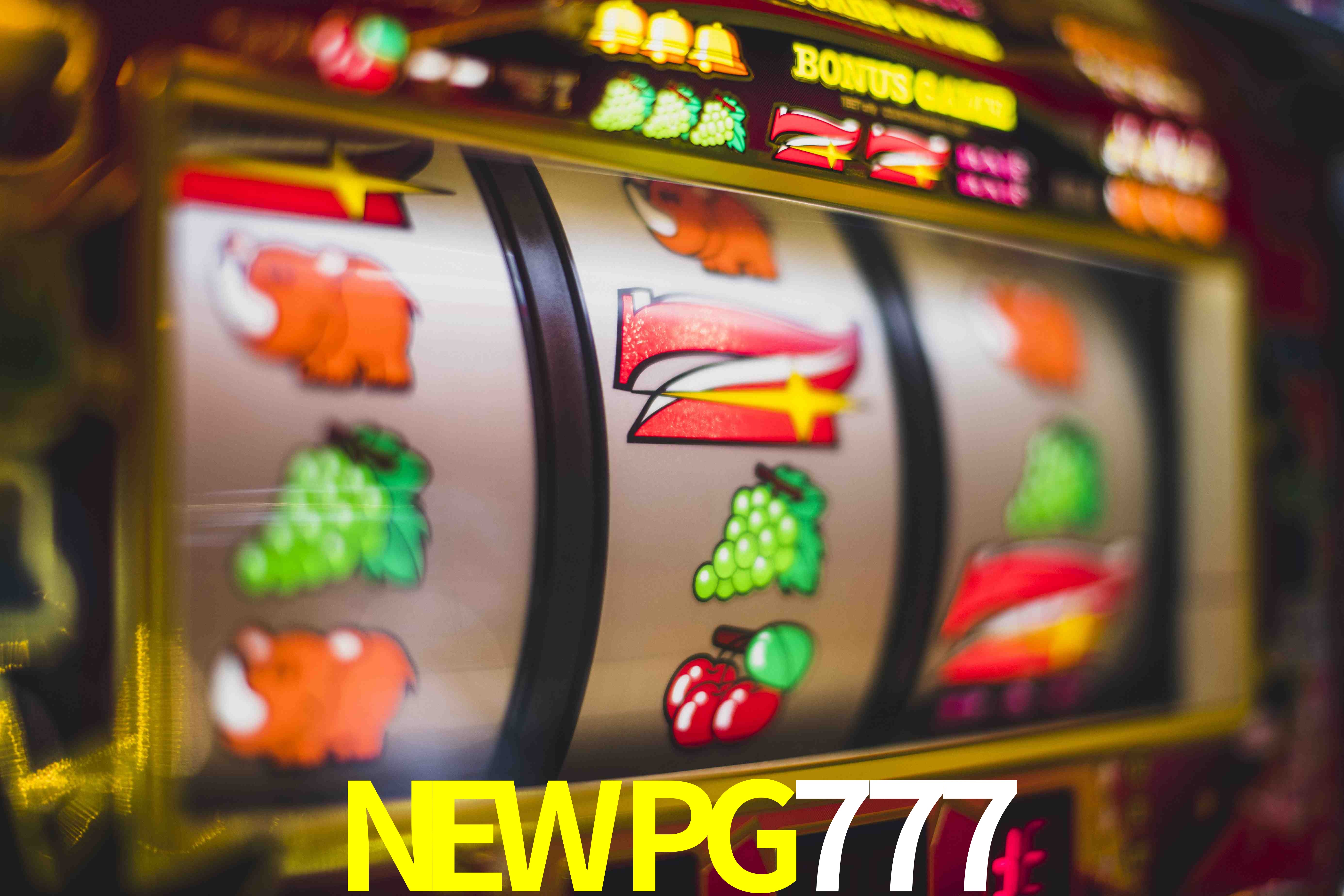 Sports Statistics NEWPG777